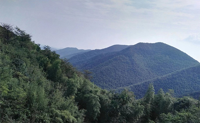 宜興旅游網(wǎng)站建設(shè)