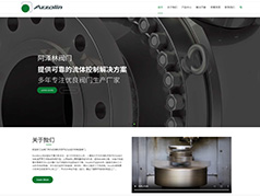 阿澤林無錫閥門宜興網(wǎng)站設計案例